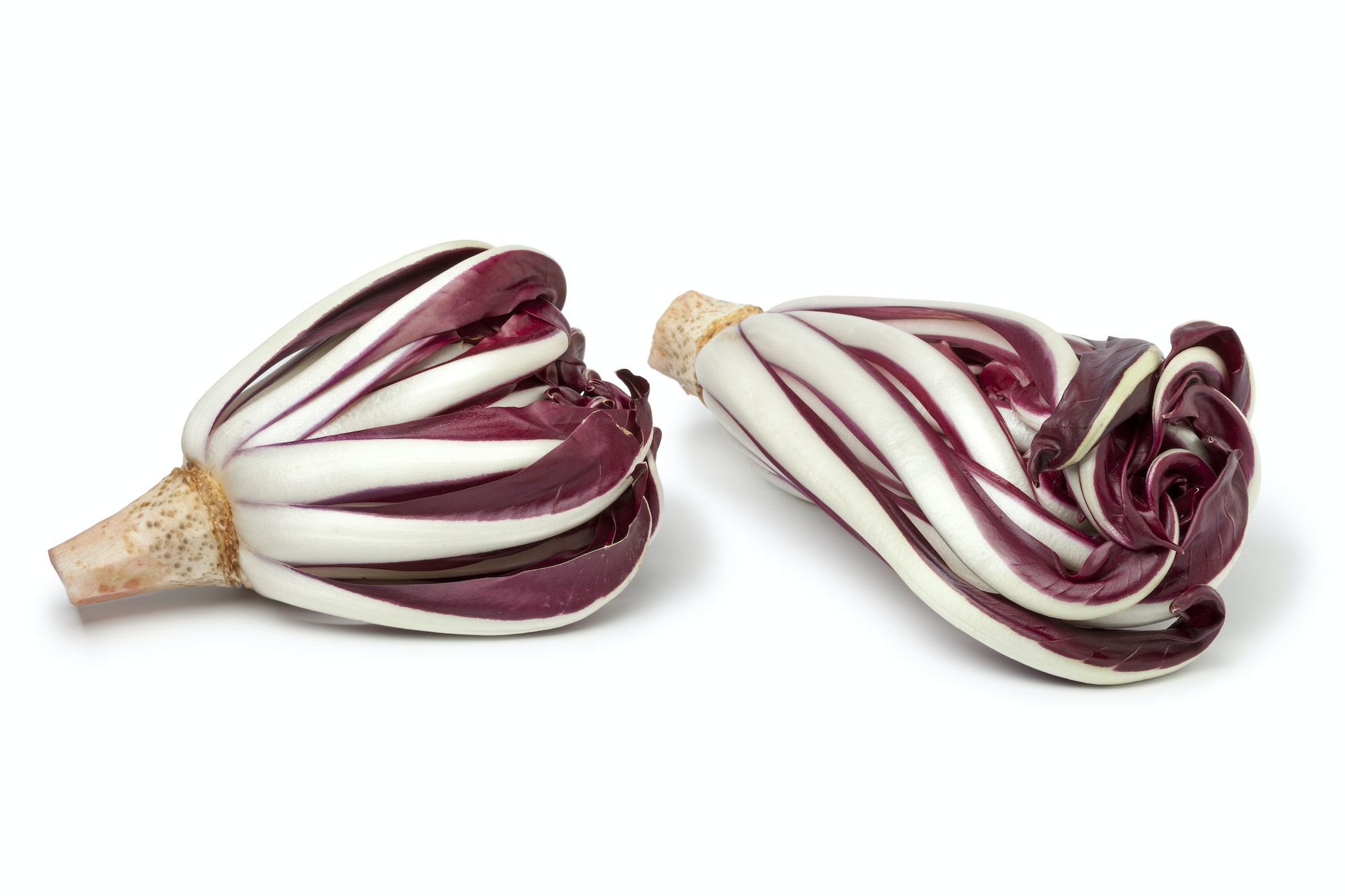 Radicchio Rosso di Treviso